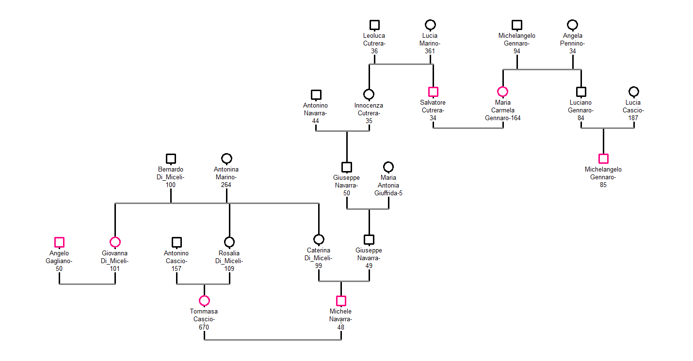 Organization Mafia Genealogy