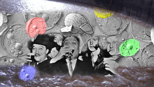 Prohibition drinkers, microscopic yeast, and brewing beer